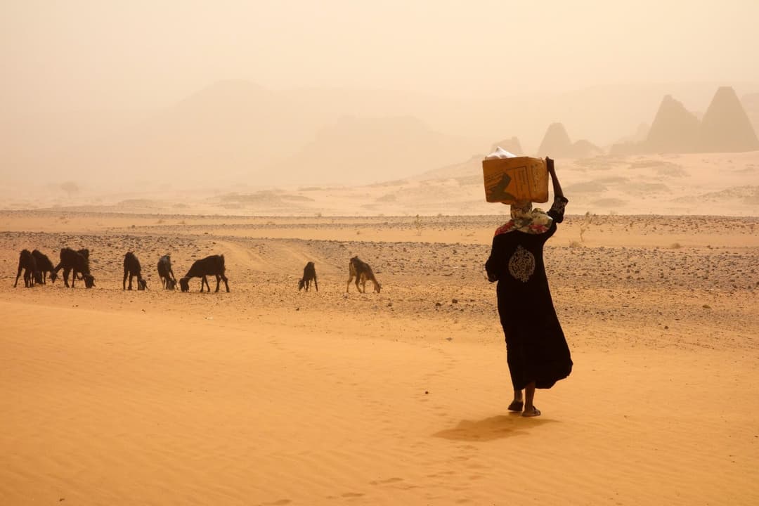 Whispers of the Desert: Sudan's Fragile Threads of Surviva